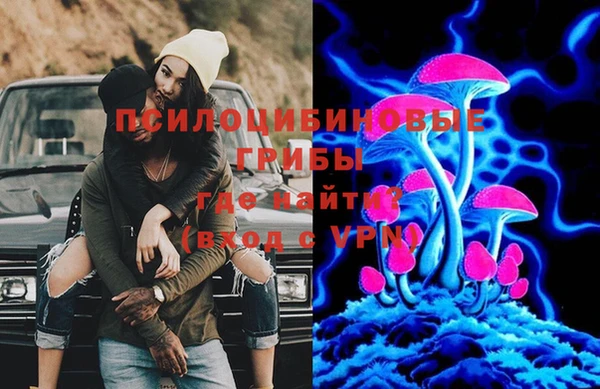 тгк Белокуриха