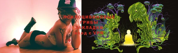 тгк Белокуриха