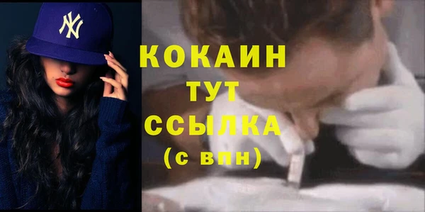 шишки Баксан