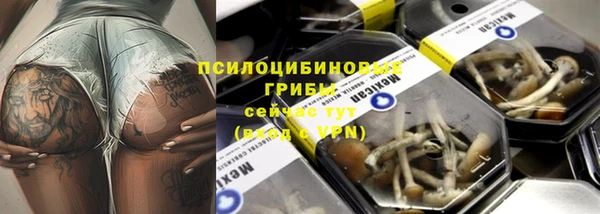 тгк Белокуриха